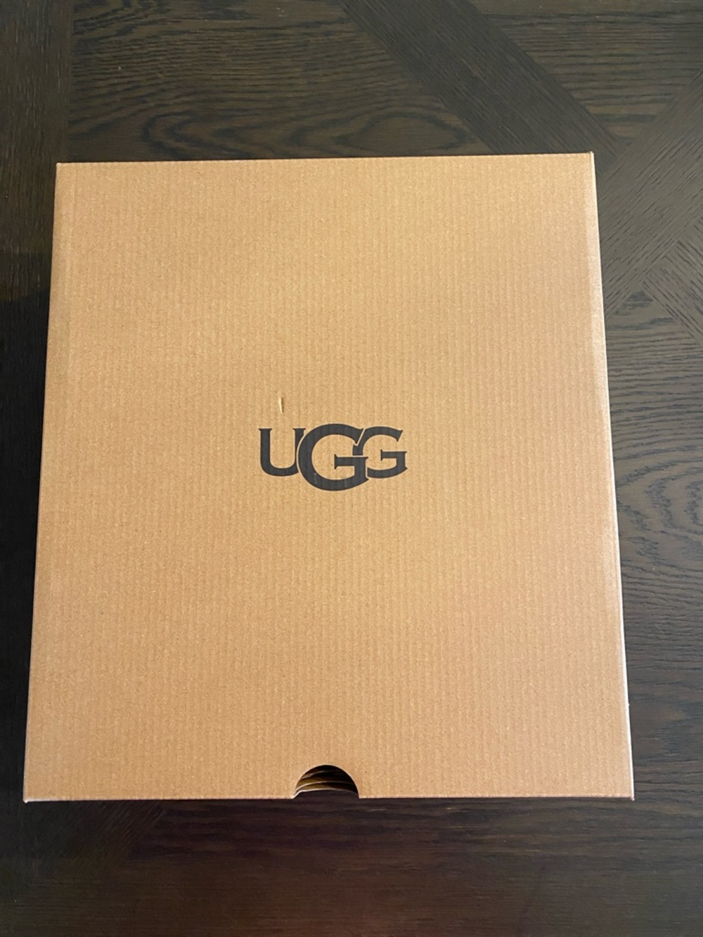 UGG Chestnut Branded Shoe Box